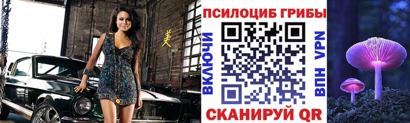 Купить закладки  Семикаракорск  Псилоцибиновые грибы мицелий 
